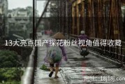13大亮点国产探花粉丝视角值得收藏