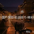 V6.2-国产探花-实战技巧-精彩不断