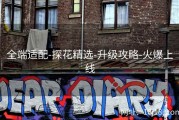全端适配-探花精选-升级攻略-火爆上线