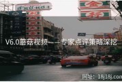 V6.0蘑菇视频——专家点评策略深挖