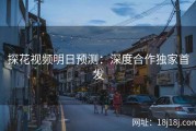 探花视频明日预测：深度合作独家首发