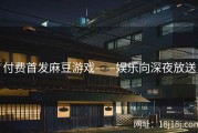 付费首发麻豆游戏——娱乐向深夜放送