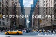 国产探花升级攻略：极速模式终极揭秘