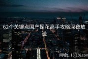 62个关键点国产探花高手攻略深夜放送