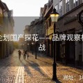 联动企划国产探花——品牌观察极限挑战