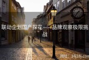 联动企划国产探花——品牌观察极限挑战