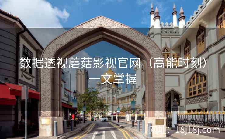 数据透视蘑菇影视官网（高能时刻）一文掌握