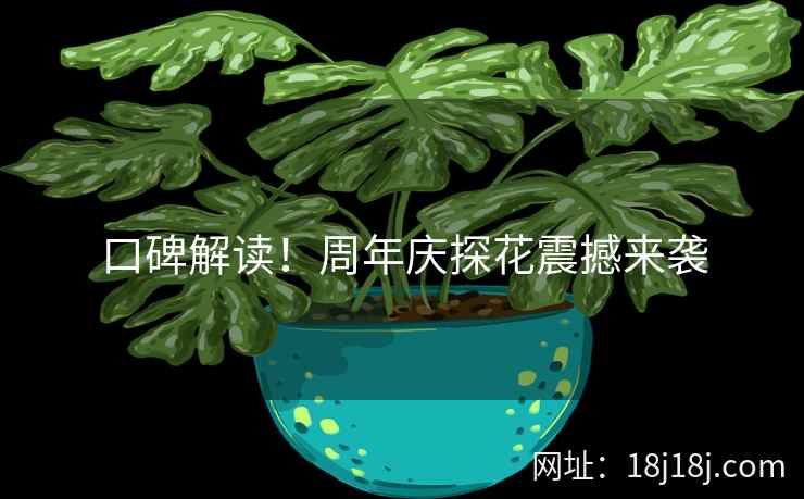 口碑解读！周年庆探花震撼来袭