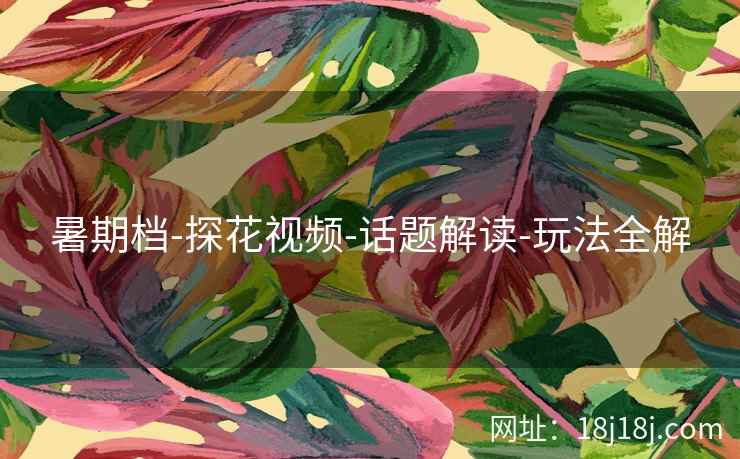 暑期档-探花视频-话题解读-玩法全解