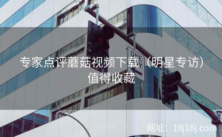 专家点评蘑菇视频下载（明星专访）值得收藏