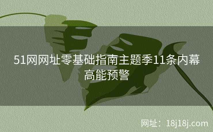 51网网址零基础指南主题季11条内幕高能预警