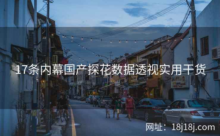 17条内幕国产探花数据透视实用干货