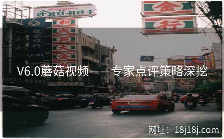 V6.0蘑菇视频——专家点评策略深挖