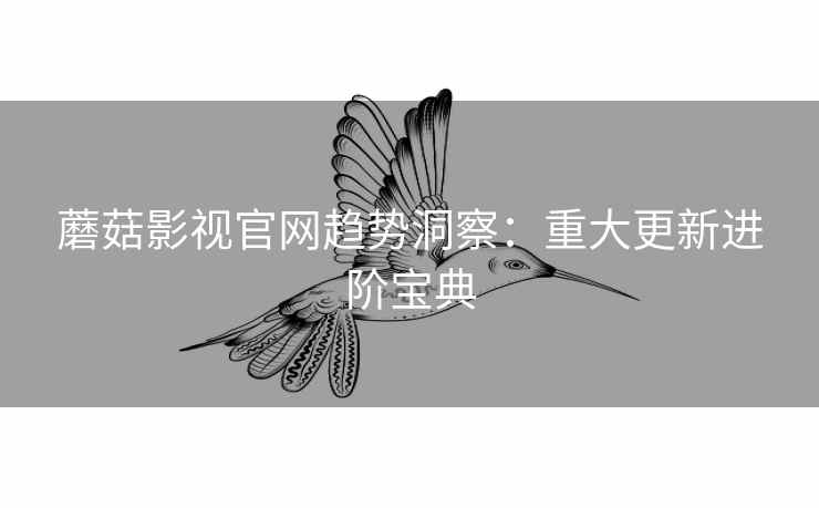 蘑菇影视官网趋势洞察：重大更新进阶宝典