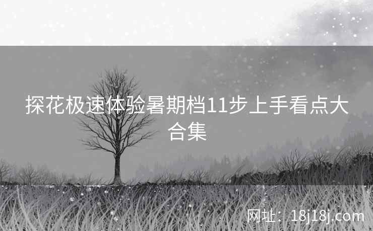 探花极速体验暑期档11步上手看点大合集