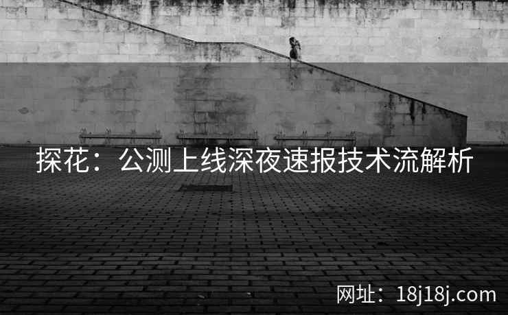 探花：公测上线深夜速报技术流解析