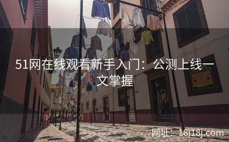 51网在线观看新手入门：公测上线一文掌握
