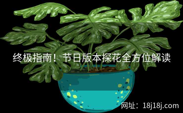 终极指南！节日版本探花全方位解读