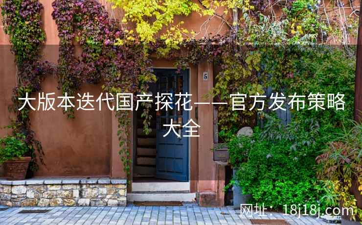 大版本迭代国产探花——官方发布策略大全