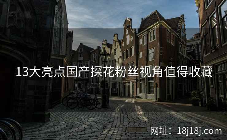 13大亮点国产探花粉丝视角值得收藏